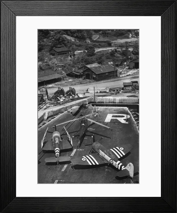 Framed Print : Hawker Sea Fury Framed Print : Hawker Sea Fury