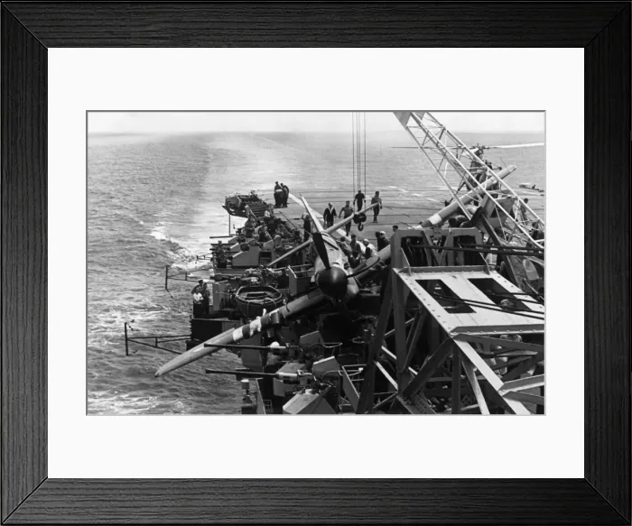Framed Print : Fairey Firefly Framed Print : Fairey Firefly
