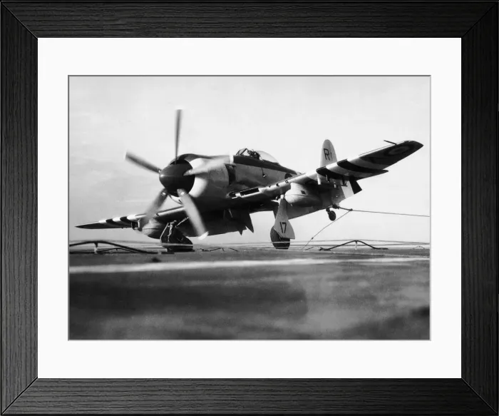 Framed Print : Hawker Sea Fury Framed Print : Hawker Sea Fury