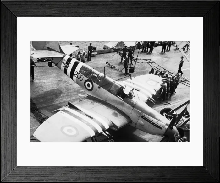 Framed Print : Fairey Firefly Framed Print : Fairey Firefly