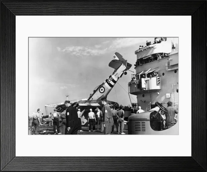 Framed Print : Hawker Sea Fury Framed Print : Hawker Sea Fury