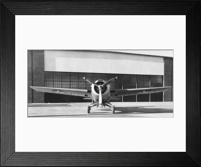 Framed Print : Grumman Wildcat Framed Print : Grumman Wildcat