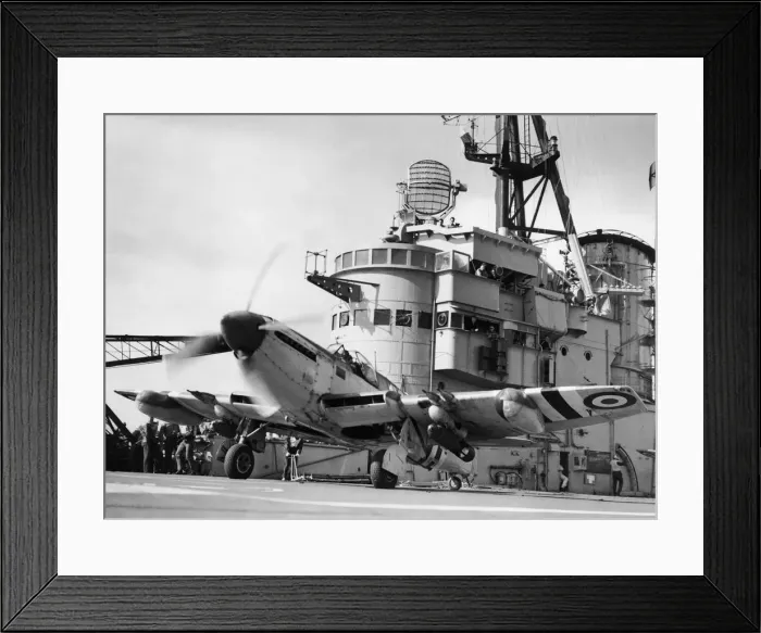 Framed Print : Fairey Firefly Framed Print : Fairey Firefly