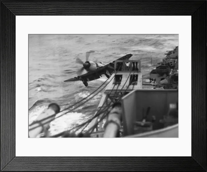Framed Print : Hawker Sea Fury Framed Print : Hawker Sea Fury