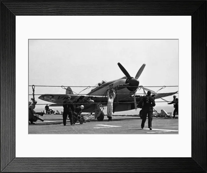 Framed Print : Hawker Sea Fury Framed Print : Hawker Sea Fury