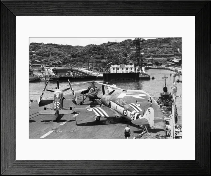 Framed Print : Hawker Sea Fury Framed Print : Hawker Sea Fury