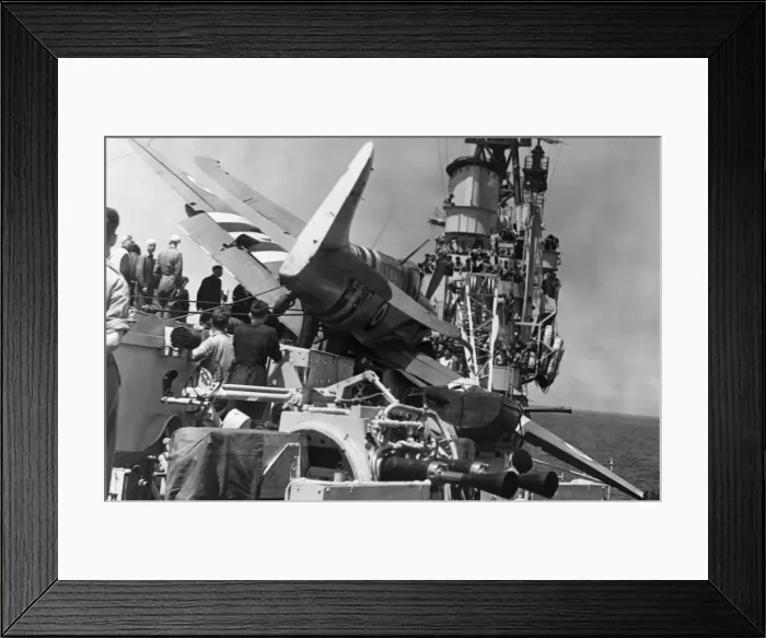 Framed Print : Fairey Firefly Framed Print : Fairey Firefly
