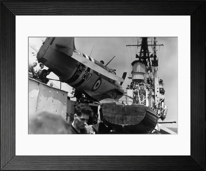 Framed Print : Fairey Firefly Framed Print : Fairey Firefly