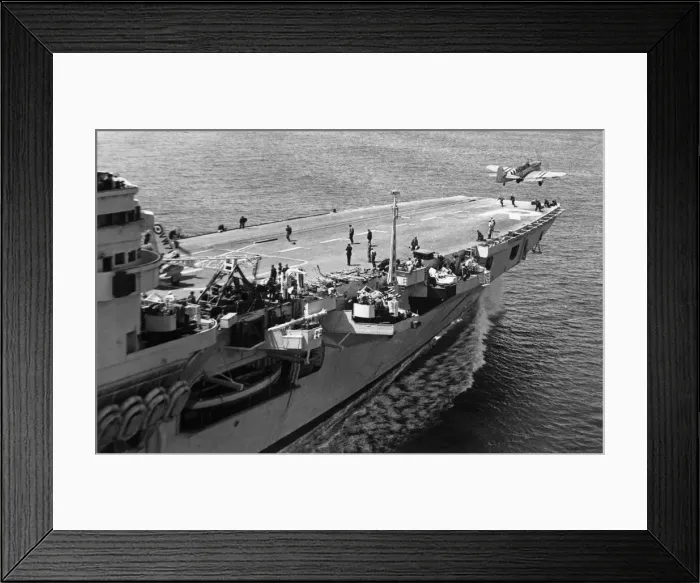 Framed Print : Fairey Firefly Framed Print : Fairey Firefly