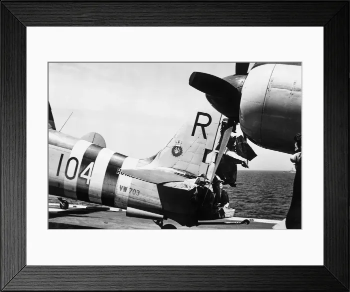 Framed Print : Hawker Sea Fury Framed Print : Hawker Sea Fury