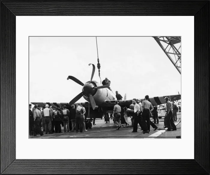 Framed Print : Hawker Sea Fury Framed Print : Hawker Sea Fury