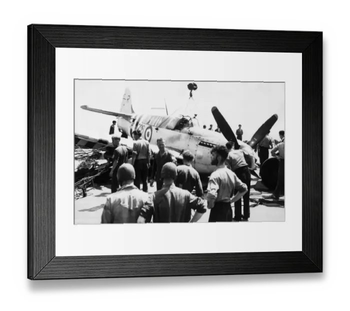 Framed Print : Fairey Firefly Framed Print : Fairey Firefly