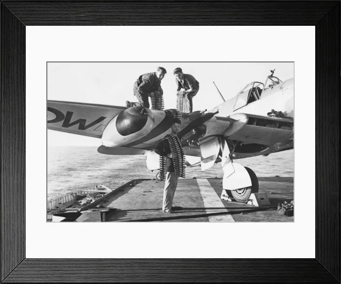 Framed Print : Fairey Firefly Framed Print : Fairey Firefly