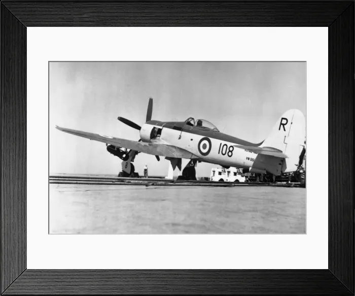 Framed Print : Hawker Sea Fury Framed Print : Hawker Sea Fury