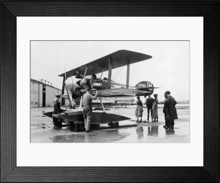 Framed Print : Sopwith Schneider Framed Print : Sopwith Schneider