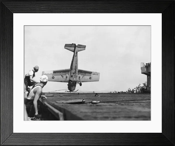 Framed Print : Grumman Wildcat Framed Print : Grumman Wildcat