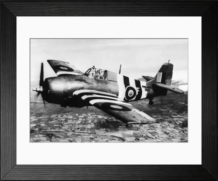 Framed Print : Grumman Wildcat Framed Print : Grumman Wildcat