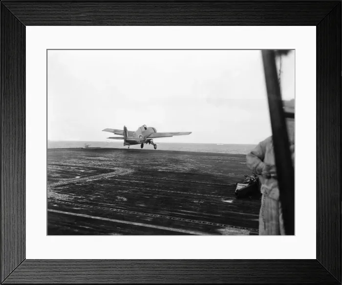 Framed Print : Grumman Wildcat Framed Print : Grumman Wildcat