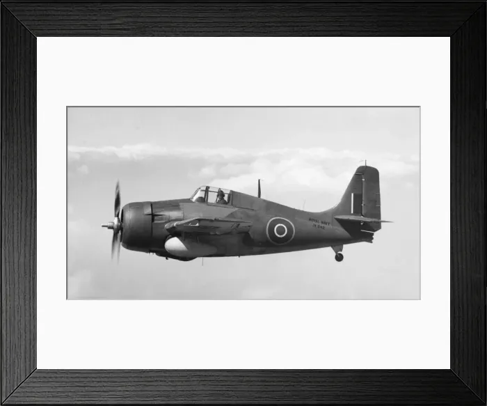 Framed Print : Grumman Wildcat Framed Print : Grumman Wildcat