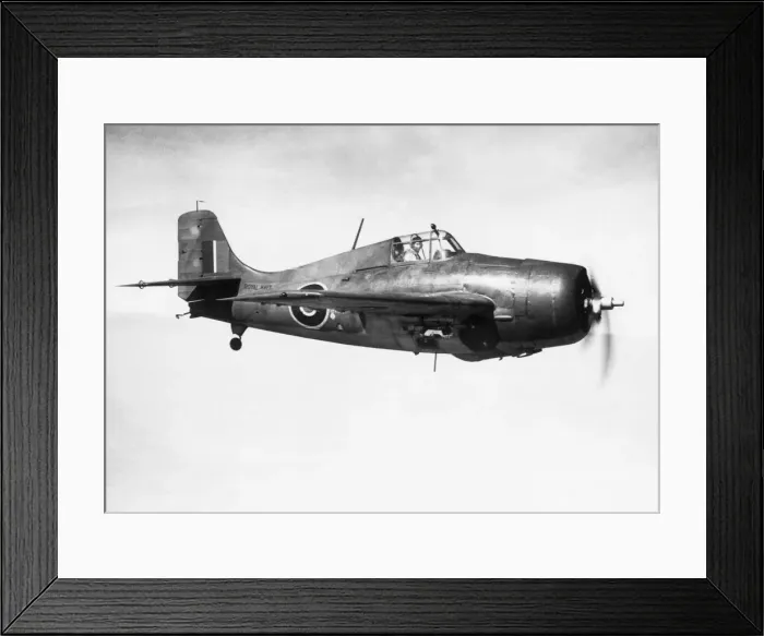 Framed Print : Grumman Wildcat Framed Print : Grumman Wildcat