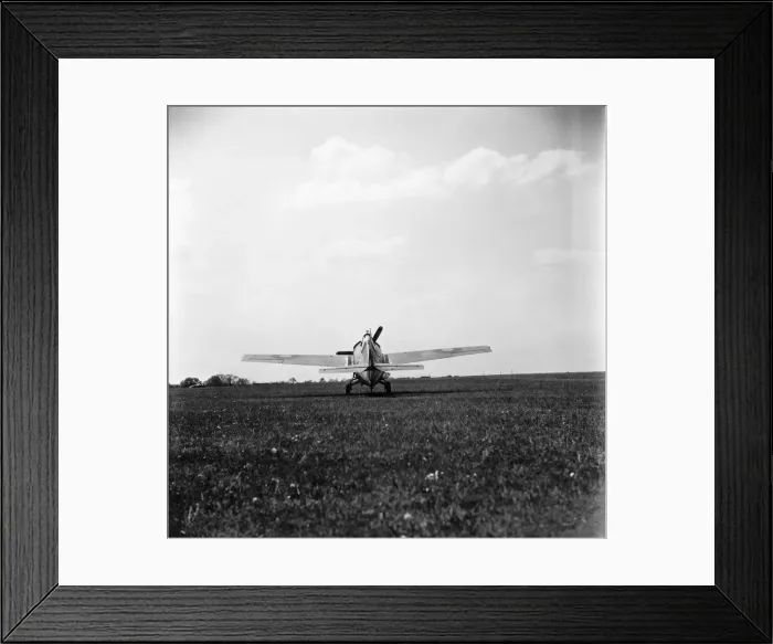 Framed Print : Grumman Wildcat Framed Print : Grumman Wildcat
