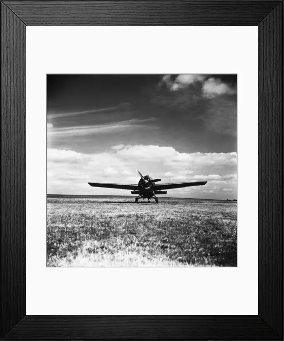 Framed Print : Grumman Wildcat Framed Print : Grumman Wildcat