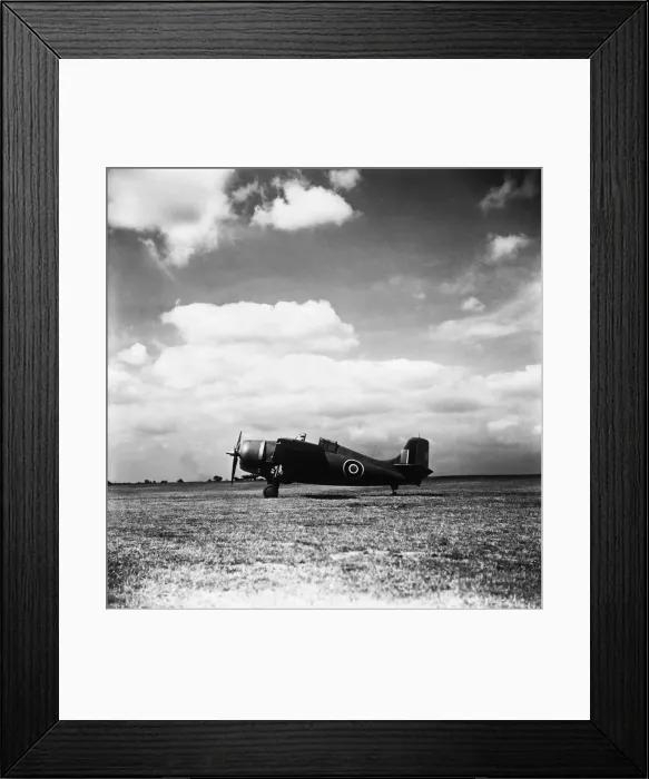 Framed Print : Grumman Wildcat Framed Print : Grumman Wildcat