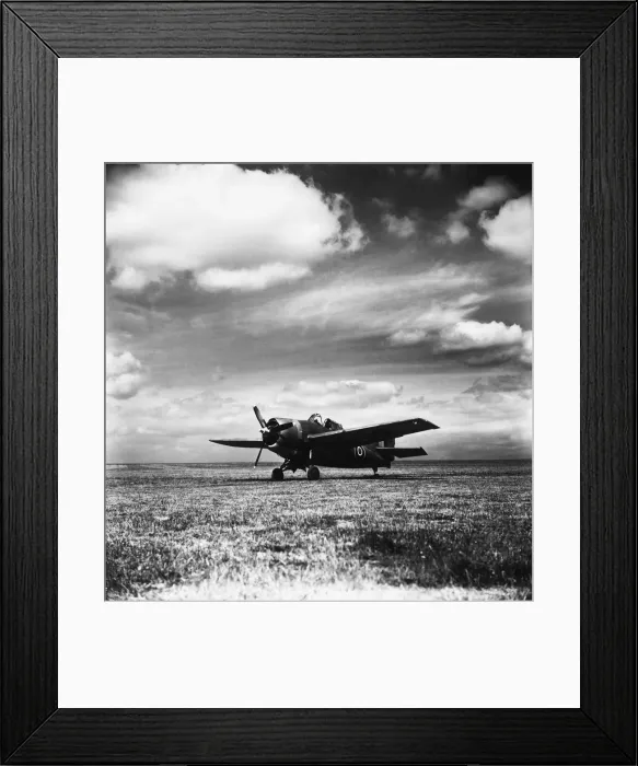 Framed Print : Grumman Wildcat Framed Print : Grumman Wildcat