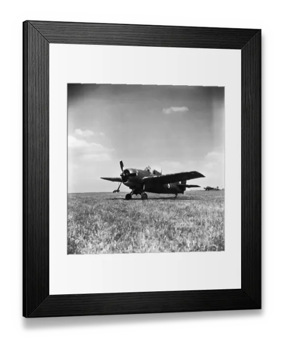 Framed Print : Grumman Wildcat Framed Print : Grumman Wildcat