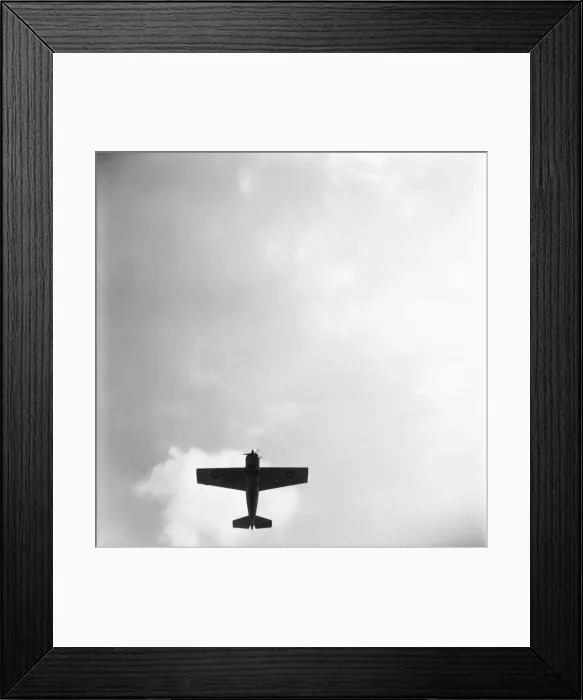 Framed Print : Grumman Wildcat Framed Print : Grumman Wildcat