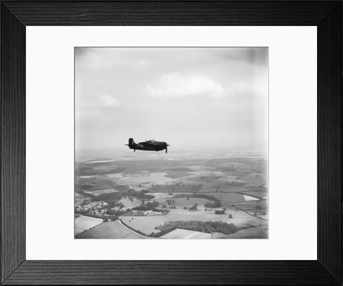 Framed Print : Grumman Wildcat Framed Print : Grumman Wildcat