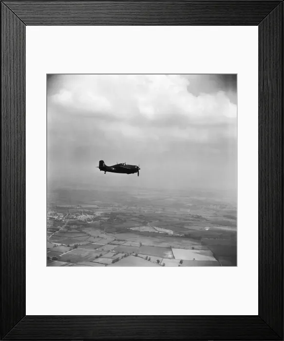Framed Print : Grumman Wildcat Framed Print : Grumman Wildcat
