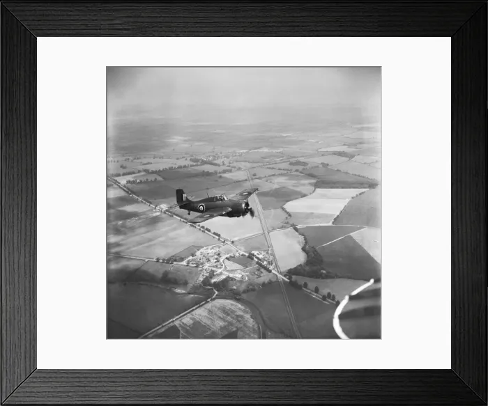 Framed Print : Grumman Wildcat Framed Print : Grumman Wildcat