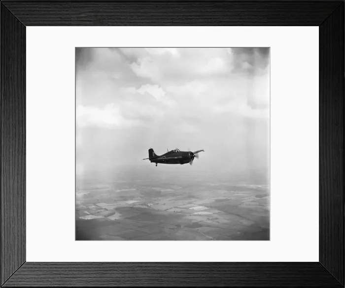 Framed Print : Grumman Wildcat Framed Print : Grumman Wildcat