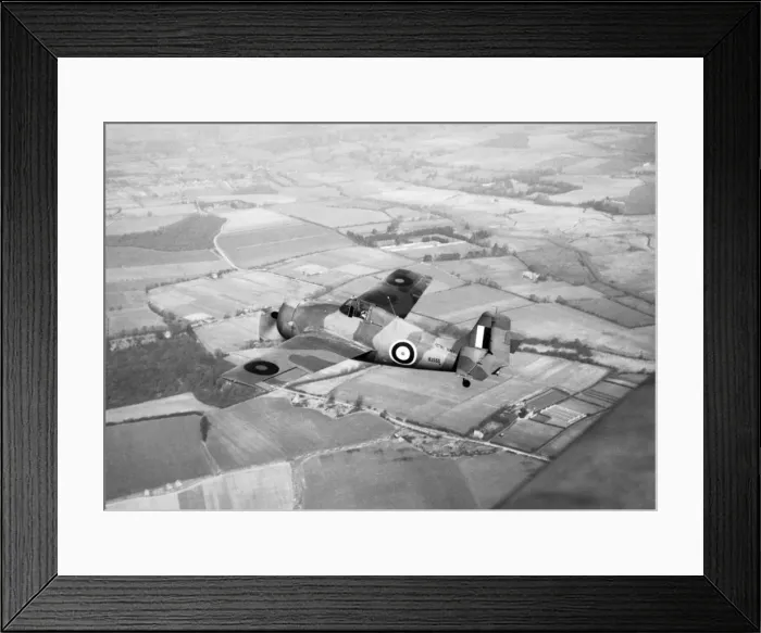 Framed Print : Grumman Wildcat Framed Print : Grumman Wildcat
