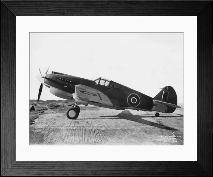 Framed Print : Curtiss P-40 Warhawk Framed Print : Curtiss P-40 Warhawk