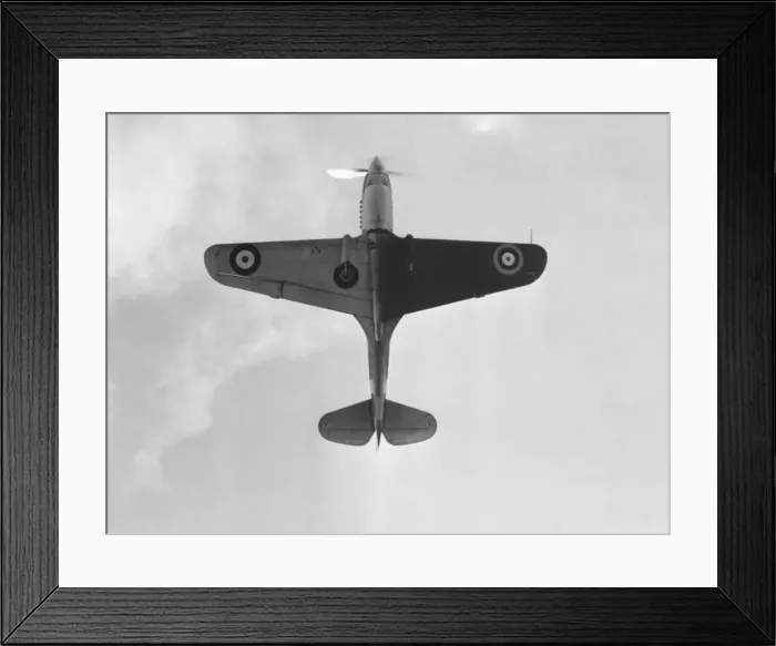 Framed Print : Curtiss Hawk 81a2 or Curtiss Tomahawk in RAF service Framed Print : Curtiss Hawk 81a2 or Curtiss Tomahawk in RAF service
