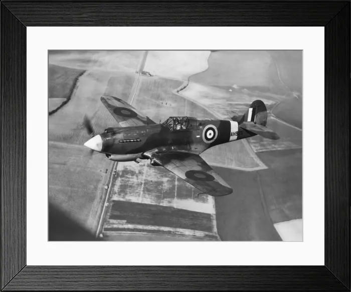 Framed Print : Curtiss P-40 Warhawk Framed Print : Curtiss P-40 Warhawk