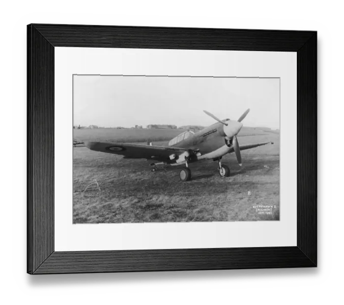 Framed Print : Curtiss P-40 Warhawk Framed Print : Curtiss P-40 Warhawk