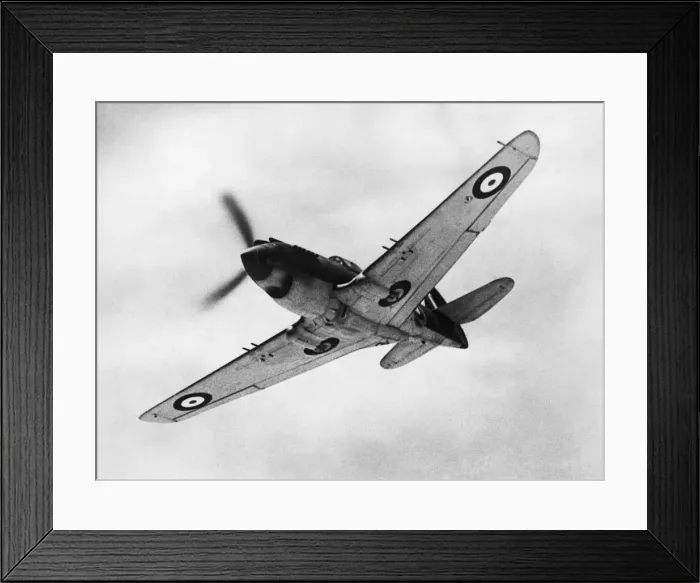 Framed Print : Curtiss P-40 Warhawk Framed Print : Curtiss P-40 Warhawk