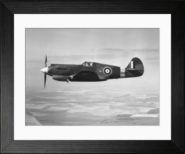 Framed Print : Curtiss P-40 Warhawk Framed Print : Curtiss P-40 Warhawk