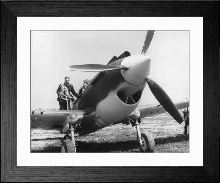 Framed Print : Curtiss P-40 Warhawk Framed Print : Curtiss P-40 Warhawk