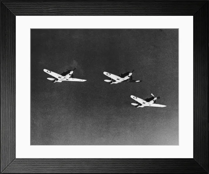 Framed Print : Curtiss P-40 Warhawk Framed Print : Curtiss P-40 Warhawk