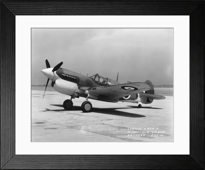 Framed Print : Curtiss P-40 Warhawk Framed Print : Curtiss P-40 Warhawk