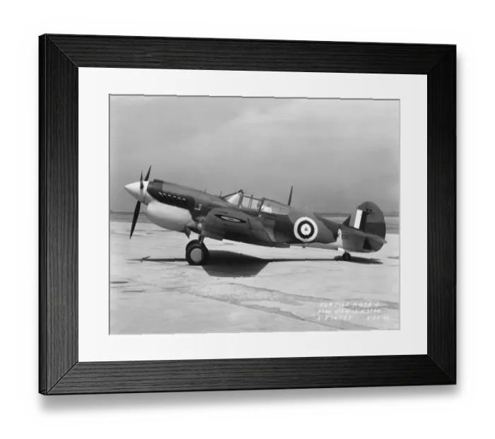 Framed Print : Curtiss P-40 Warhawk Framed Print : Curtiss P-40 Warhawk