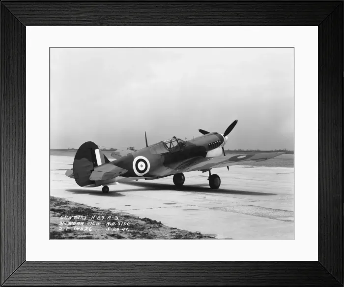Framed Print : Curtiss P-40 Warhawk Framed Print : Curtiss P-40 Warhawk