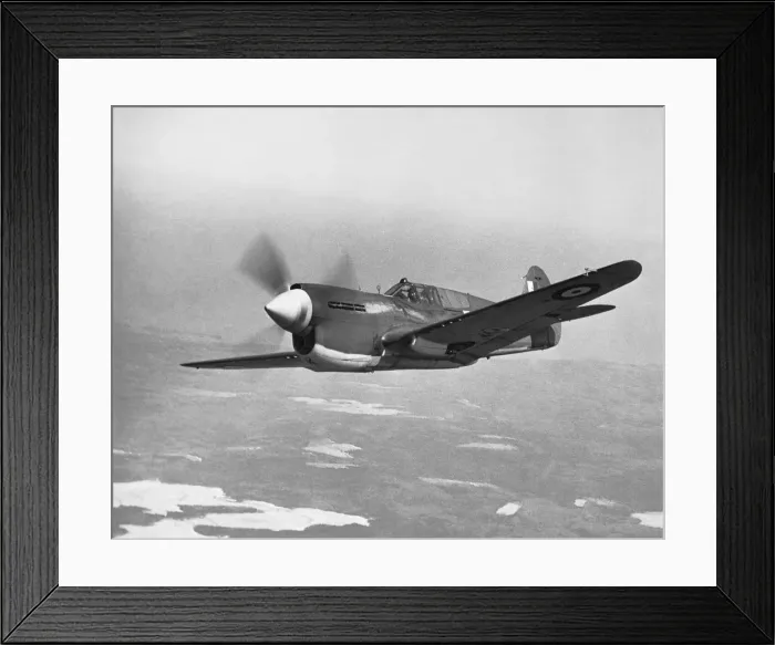 Framed Print : Curtiss P-40 Warhawk Framed Print : Curtiss P-40 Warhawk