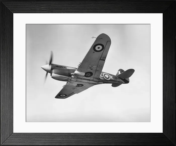 Framed Print : Curtiss P-40 Warhawk Framed Print : Curtiss P-40 Warhawk