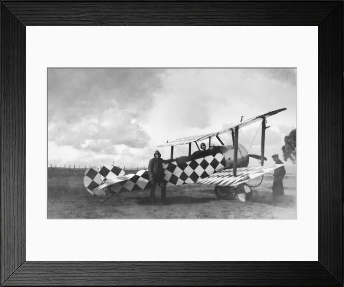 Framed Print : Sopwith Dove Framed Print : Sopwith Dove