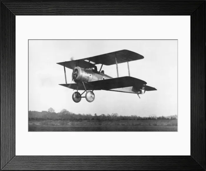 Framed Print : Sopwith Dove Framed Print : Sopwith Dove